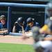 Chelsea players watch from the dugout in the bottom of the seventh inning during their quarter final match up against St. Joseph at Ray Fisher Stadium on Tuesday. Melanie Maxwell I AnnArbor.com